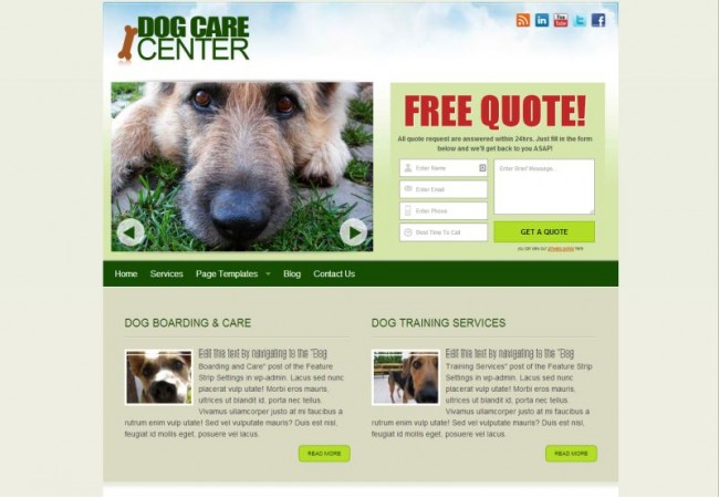 Dog Care